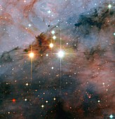 Trumpler 16 stars, HST image