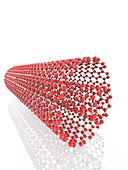 Coaxial carbon nanotube, illustration