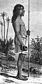19th Century Payagua warrior, illustration