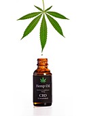 Hemp oil containing CBD, cannabidiol