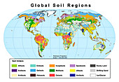 Map of global soil regions