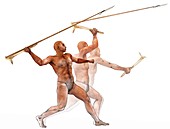 Spear-thrower, illustration