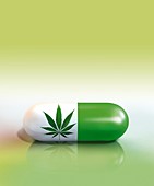 Medical cannabis, conceptual image