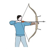 Archer with a longbow, illustration
