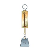 One kilogram mass on a newton meter, illustration