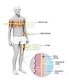 Radiation effects on humans, illustration