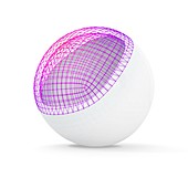 White sphere with visible wireframe, illustration