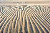 Ripples on sand