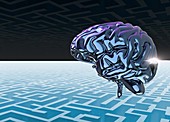 Human brain and maze, illustration