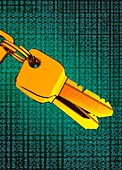 Key with password written on it, illustration