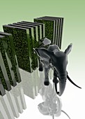 Black elephant and abstract storage units, illustration