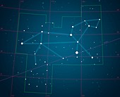 Constellation Leo, illustration