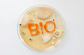 Microbiology, conceptual image
