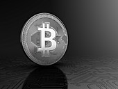 Bitcoin coin, illustration