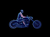 Illustration of a biker's muscles