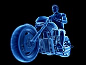 Illustration of a biker