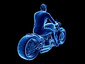 Illustration of a biker