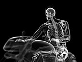 Illustration of a biker's skeleton