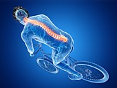 Illustration of a cyclist's spine