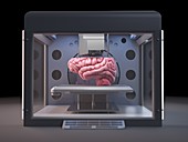 Illustration of a 3d printer printing a brain