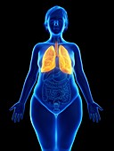 Illustration of an obese woman's lung