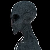 Illustration of a humanoid alien