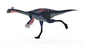 Illustration of a gigantoraptor