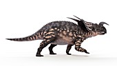 Illustration of a einiosaurus