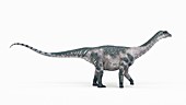 Illustration of a antarctosaurus