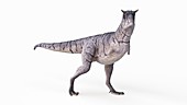 Illustration of a carnotaurus