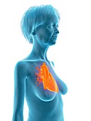 Illustration of an old woman's heart