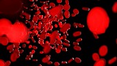 Illustration of human blood cells