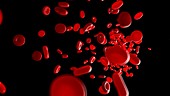 Illustration of human blood cells