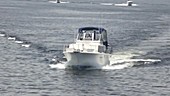 Yacht cruising Georgian Bay
