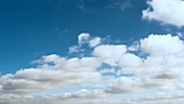 Cumulus clouds, timelapse