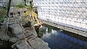 Greenhouse with pond and plants