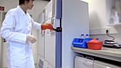 Scientist opening freezer in lab