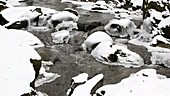 Snow-covered rocks in stream
