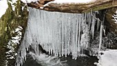 Icicles and pond