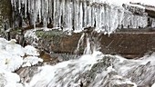 Icicles and stream