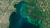 Algal bloom in Lake St Clair, satellite image