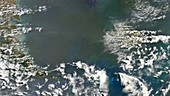 Algal bloom off the Argentinian coast, satellite image