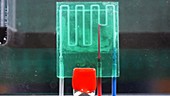 Microfluidic lab-on-a-chip technology