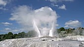 Geyser erupting, New Zealand