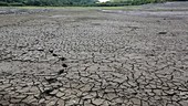 Reservoir in drought