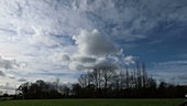 Timelapse of stratocumulus and altocumulus clouds in winter