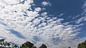 Timelapse of altocumulus clouds on a summer morning