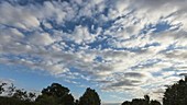 Timelapse of stratocumulus dissipating on a summer evening