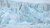 Calving glacier, Arctic