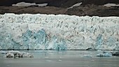 Panning across glacier, Arctic